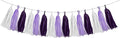 White Purple Party Decorations - 15Pcs Tissue Paper Tassel Garland Birthday Decorations Valentines Day Baby Girl Shower Women Bridal Wedding Engagement Bachelorette Graduation Hanging Decor