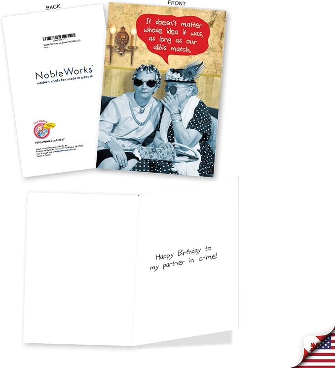 NobleWorks Assorted 3 Pack of Hysterical Retro Birthday Greeting Cards with 5 x 7 Inch Envelopes for Men and Women (3 Designs, 1 Each) Naughty Seniors VC9269BDG-C1x3