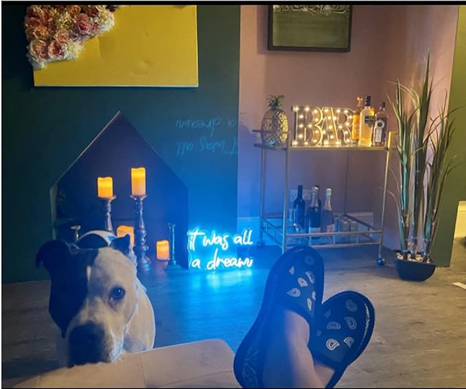 Ulalaza LED Neon Sign Night Light for Wall Party Décor Bedroom Room Bar Wedding Home Birthday Art Decoration Christmas with USB Chain Light modulator 5v (lets party blue)