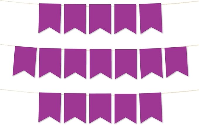 Andaz Press Hanging Pennant Banner with String, Plum Purple Violet, 1-Set, 24 Pennants, Approx. 12-Feet Long