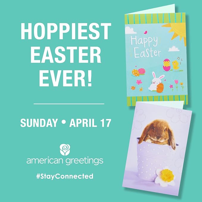 American Greetings Easter Party Supplies, Paper Dessert Plates (36-Count)