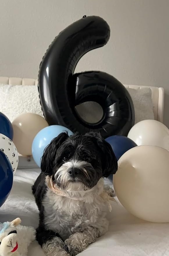 Numbers Balloon 6, 40 Inch Foil Big Balloon for Men And Women, Black Balloons for 6, 16, 26, 60, 2026 Graduation, Birthday, Wedding Anniversary, Xmas, Thanksgiving Day, Party Supplies