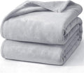 Hansleep Fleece Light Grey Queen Blanket, Super Soft Flannel Fuzzy Plush Cozy Blanket for All Seasons, Light Grey, Queen 90x90 Inches