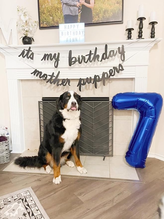 7 Balloon Blue Number, 17th Birthday Decorations For boys And Girls, 40 Inch Big Balloons for 7, 17, 27, 70 Birthday, Wedding Anniversary, Christmas, New Year, Halloween Party Decoration