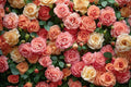 CYLYH10X8FT Floral Backdrop Pink Rose Green Leaves Wall Background Girls Princess Birthday Baby Shower Wedding Cake Table Decoration Banner D904