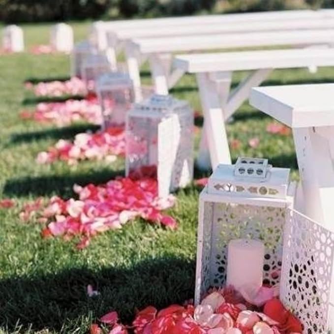 CODE FLORIST 1500 PCS Silk Rose Petals for Valentine's Day,Fake Rose Petals for Romantic Night,Wedding,Proposal Anniversary Flower Decorations(Separated,Scented,Light Pink&Hot Pink)