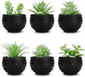 Der Rose Set of 6 Succulents Plants Artificial in Pots Small Fake Plants for Halloween Decorations Bedroom Living Room Office Shelf Black Bathroom Decor