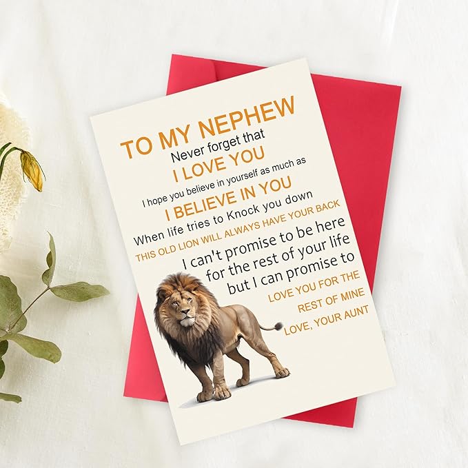 OJsensai Cute Birthday Card for Nephew, Best Gifts from Auntie, Happy Birthday for Nephew from Aunt