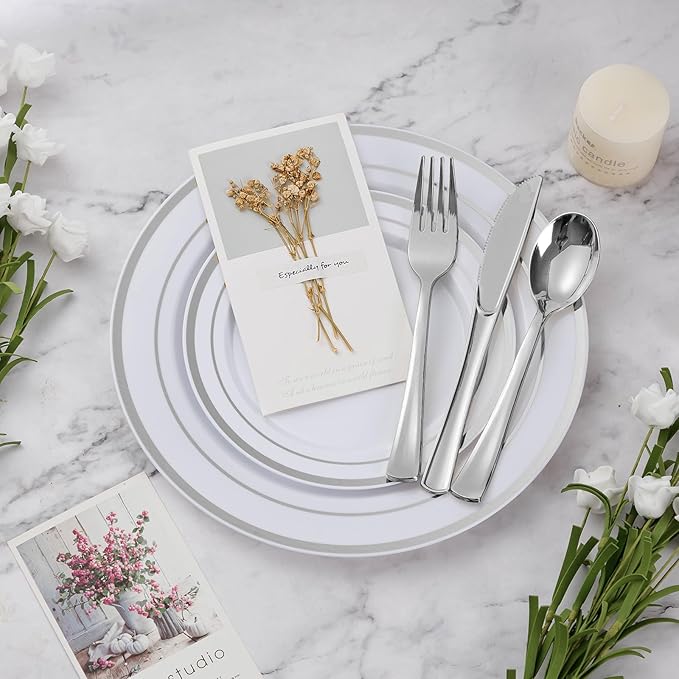 BESTVIP 300PCS Plastic Dinnerware Set (50 Guests), Silver Disposable Plates for Party, Wedding, Christmas, Anniversary, Includes: Dinner Plates, Dessert Plates, Cups, Spoons, Forks and Knives