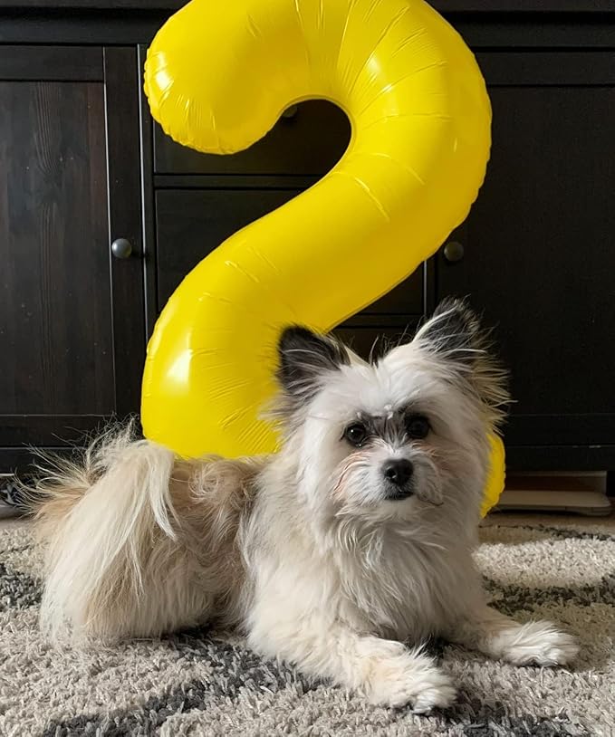 Yellow 9 Balloon Number, Big 40 Inch Happy 9 19 29 90 Birthday for Men And Women, Foil Balloons Decoratins for Wedding Anniversary, Single, New Year, Halloween Party Syupplies