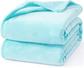 Hansleep Fleece Robin Egg Blue Queen Blanket, Super Soft Flannel Fuzzy Plush Cozy Blanket for All Seasons, Robin Egg Blue, Queen 90x90 Inches
