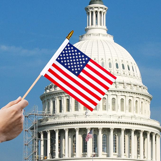HOOSUN 12 Pcs Small American Flags On Stick,4th of July Decorations Outdoor Mini USA Flag 12''x8'',American Flags for Outside,Fourth of July Flag Patriotic Decor for Yard Lawn,Memorial Day Decorations