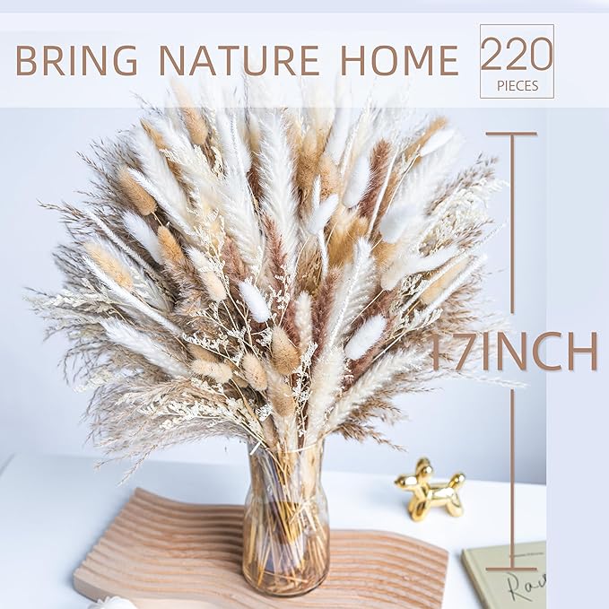 220PCS Natural Dried Pampas Grass Boho Home Decor Bouquet Phragmites Dried Flowers Bouquet for Wedding Floral Arrangements Home Decorations (220PCS)