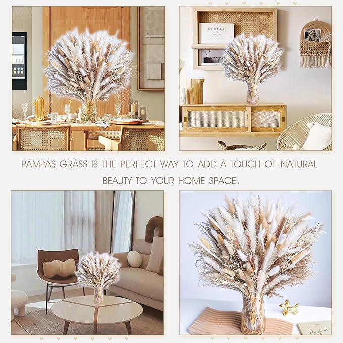 220PCS Natural Dried Pampas Grass Boho Home Decor Bouquet Phragmites Dried Flowers Bouquet for Wedding Floral Arrangements Home Decorations (220PCS)